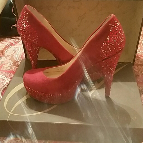 Enzo - Picture 4 of 4