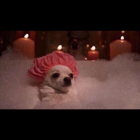 Meet your Posher, Aaron - Picture 1 of 1