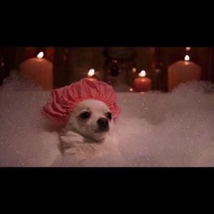 Meet your Posher, Aaron