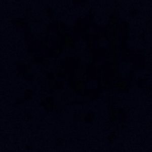 Meet your Posher, Paris