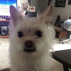 Meet your Posher, Omar