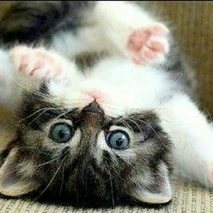 Meet your Posher, Jocelyn