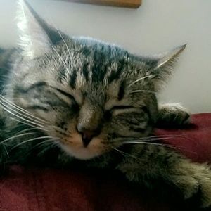 Meet your Posher, Ren?e