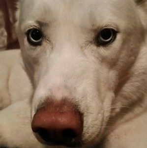 Meet your Posher, Scott