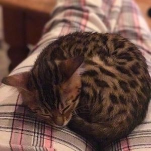 Meet your Posher, Jennifer