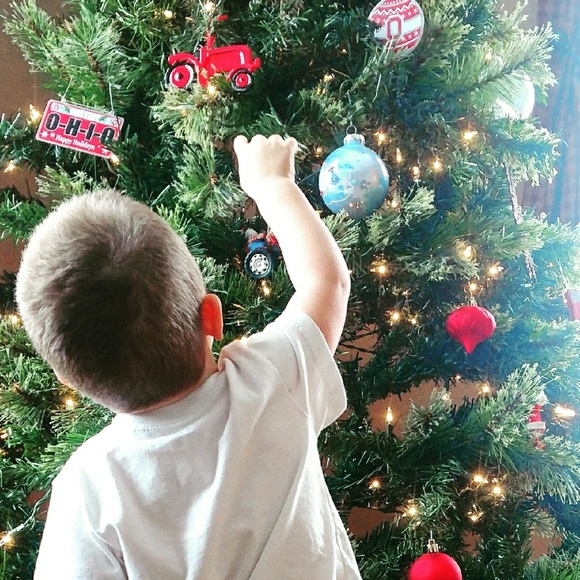 Meet your Posher, Hollie - Picture 1 of 1