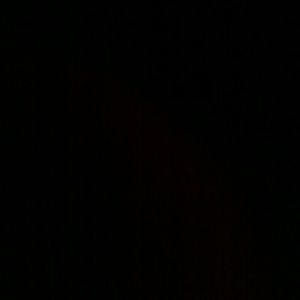 Meet your Posher, Beverly