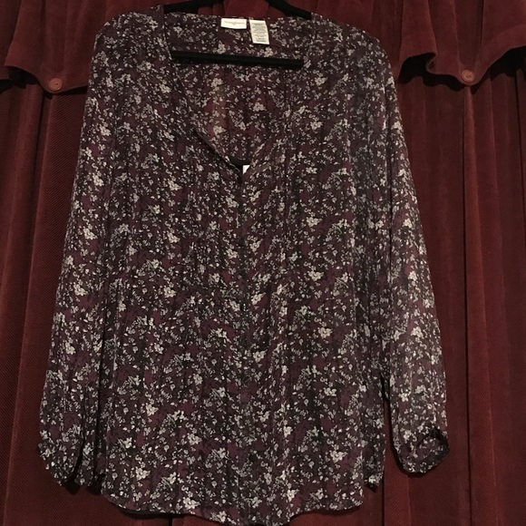 Sheer Button down blouse w BLK sheer camisole