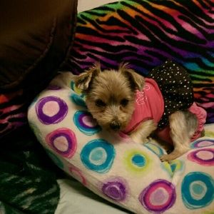 Meet your Posher, Lee