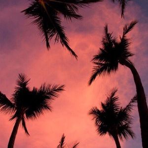 Meet your Posher, Bobbiann