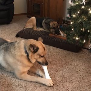 Meet your Posher, Kathy