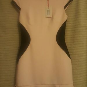 Super cute NEW Ted baker dress