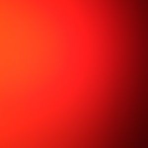 Meet your Posher, Caylee