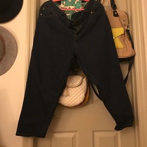 Dark wash plus size jeans