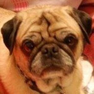 Meet your Posher, Jody