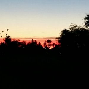 Meet your Posher, Vera