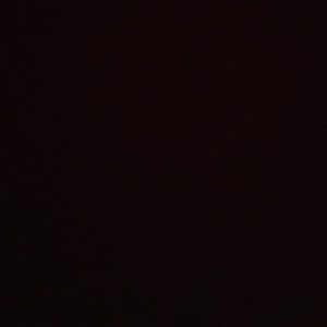 Meet your Posher, Kat