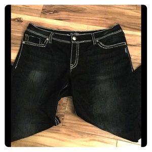 Silver Jeans Co. PLUS