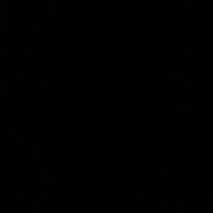 Meet your Posher, Tamara