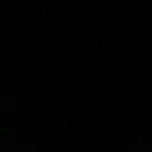 Meet your Posher, Celeste