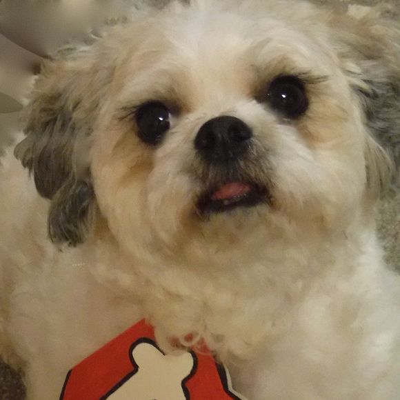 Meet your Posher, Cindy