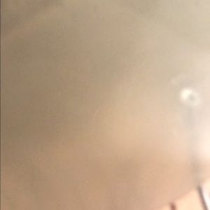 Meet your Posher, Bella