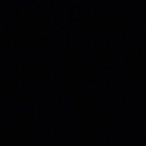 Meet your Posher, Cassidy