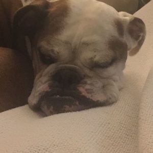 Meet your Posher, Christine