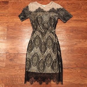 Charlotte Russe Lace Dress