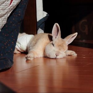 Meet your Posher, Guy