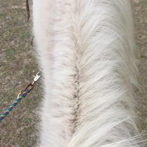 Meet your Posher, Madison