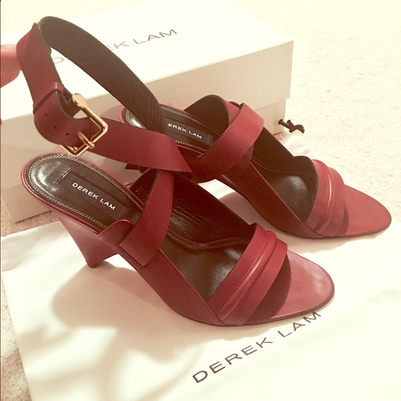 Derek Lam Shoes - NEW Derek Lam Ox blood red heels