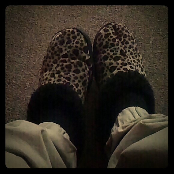 Cheeta