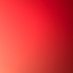 Meet your Posher, Lee