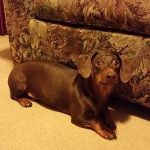 Meet your Posher, Lori