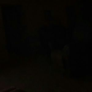 Meet your Posher, Carla