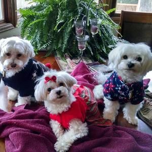 Meet your Posher, Tammy