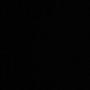 Meet your Posher, Jackson