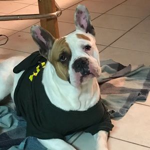 Meet your Posher, Krystyl