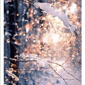 Meet your Posher, Adriana