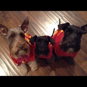 Meet your Posher, Karen