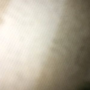 Meet your Posher, Louie