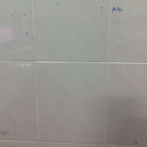 Meet your Posher, Jjrjjdi