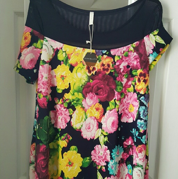 Pinkblush maternity knee length dress
