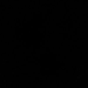 Meet your Posher, Princess