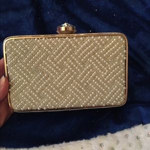 Evening Bag/Clutch