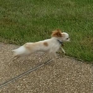 Meet your Posher, Chelsea