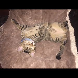 Meet your Posher, Michelle