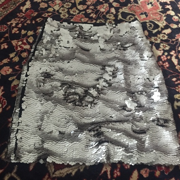 Sequin skirt embellished