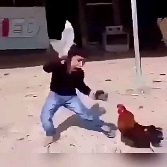 Meet your Posher, Christopher - Picture 1 of 1